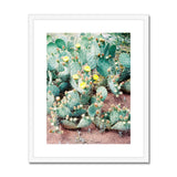 Blossom Yellow Cactus
